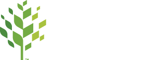 raleigh logo